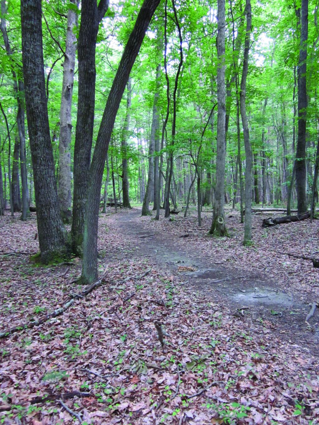 Claytor Lake State Park | Kids in Parks
